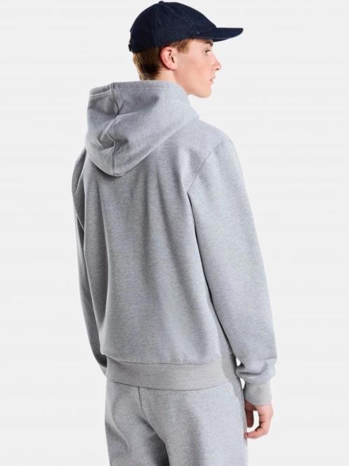 pulover cu gluga pt. barbati The North Face M Evolution Simple Dome Regular Full Zip gri 4