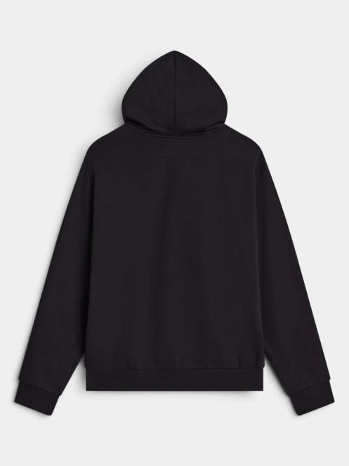 pulover cu gluga pt. barbati The North Face M Evolution Simple Dome Regular Full Zip negru 7