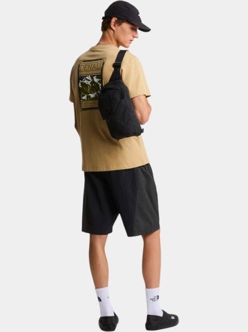 tricou cu maneci scurte pt. barbati The North Face M North Faces Regular Short Sleeve Tee-G maro 5