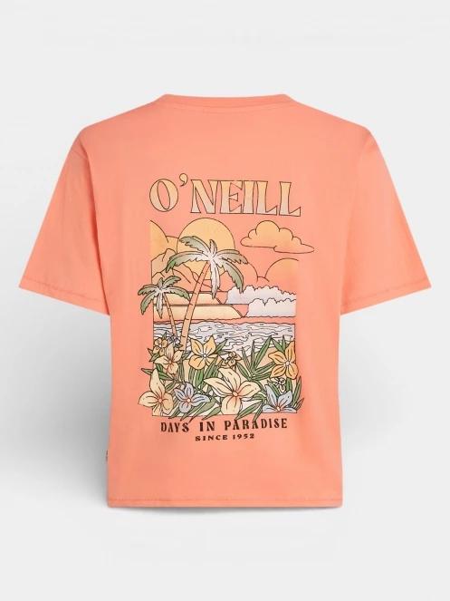 tricou cu maneci scurte pt. femei O'Neill O'Neill Boxy Back Print T-Shirt portocaliu 7