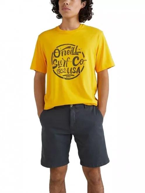 pantaloni scurti pt. barbati O'Neill Vaca Chino Shorts gri 2