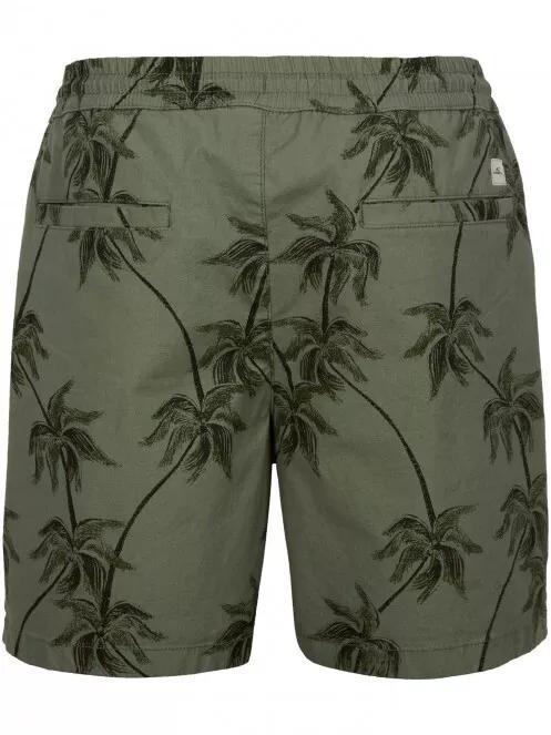 pantaloni scurti pt. barbati O'Neill Tasman Volley Short oliv 6