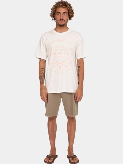 pantaloni scurti pt. barbati O'Neill Essentials Chino Shorts verde 5