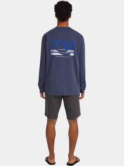 pantaloni scurti pt. barbati O'Neill O'Neill Essentials Chino Shorts gri 3