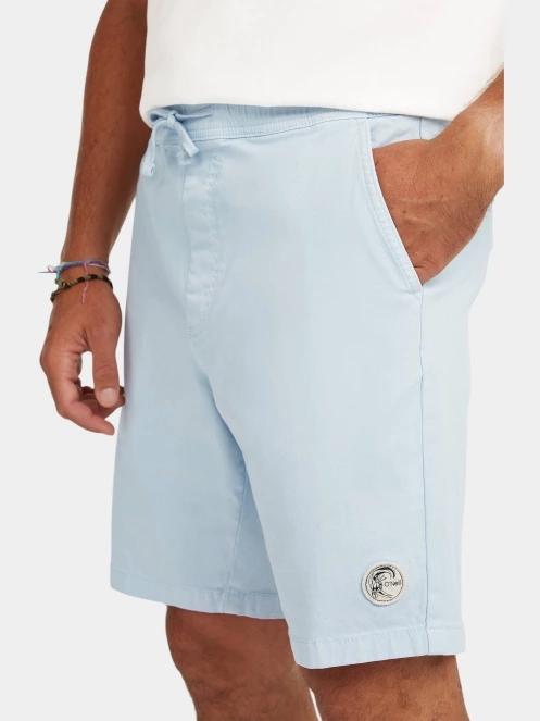 pantaloni scurti pt. barbati O'Neill O'Riginals Walk Shorts albastru deschis 4