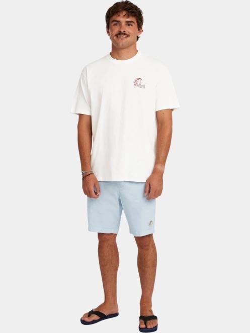 pantaloni scurti pt. barbati O'Neill O'Riginals Walk Shorts albastru deschis 5