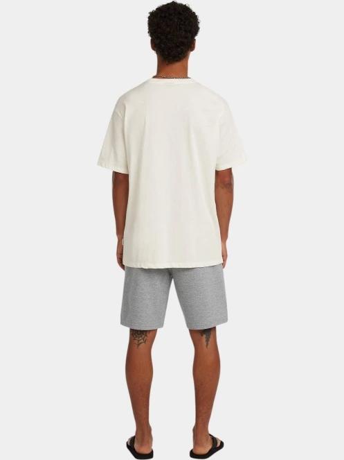 pantaloni scurti de trening pt. barbati O'Neill O'Neill Small Logo Sweatshorts gri 3