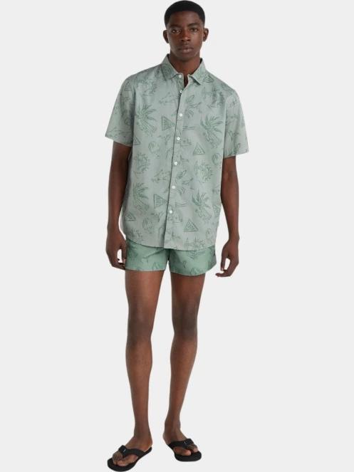 sort de plaja pt. barbati O'Neill Mix & Match Cali Block 15'' Swim Shorts verde 4