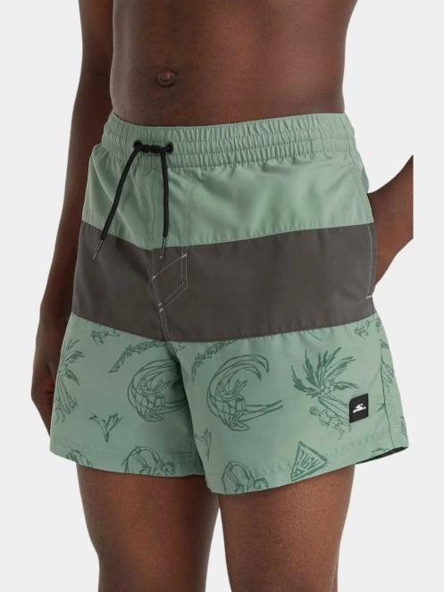 sort de plaja pt. barbati O'Neill Mix & Match Cali Block 15'' Swim Shorts verde 5