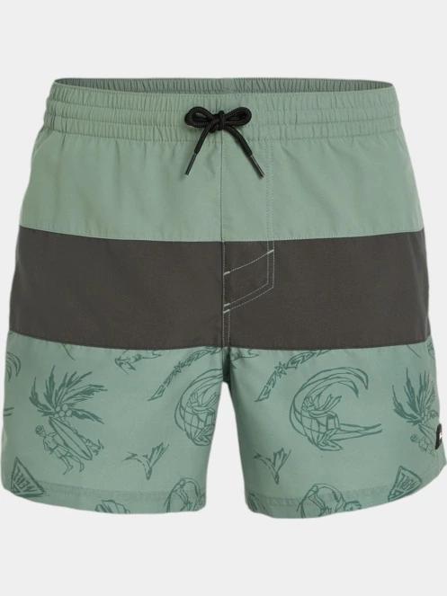 sort de plaja pt. barbati O'Neill Mix & Match Cali Block 15'' Swim Shorts verde 6