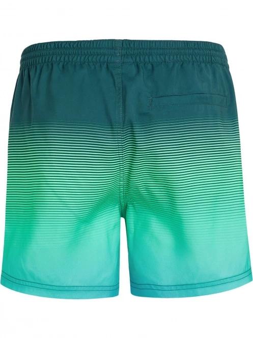 Jack O'Neill Cali Gradient 15'' Swim Shorts