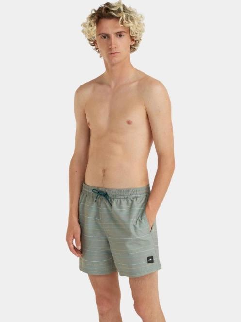 sorturi de baie pentru barbati pt. barbati O'Neill Jack O'Neill Cali First 15'' Swim Shorts verde 2