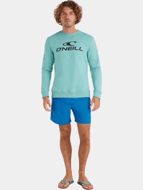 sorturi de baie pentru barbati pt. barbati O'Neill Vert 16'' Swim Shorts albastru 4