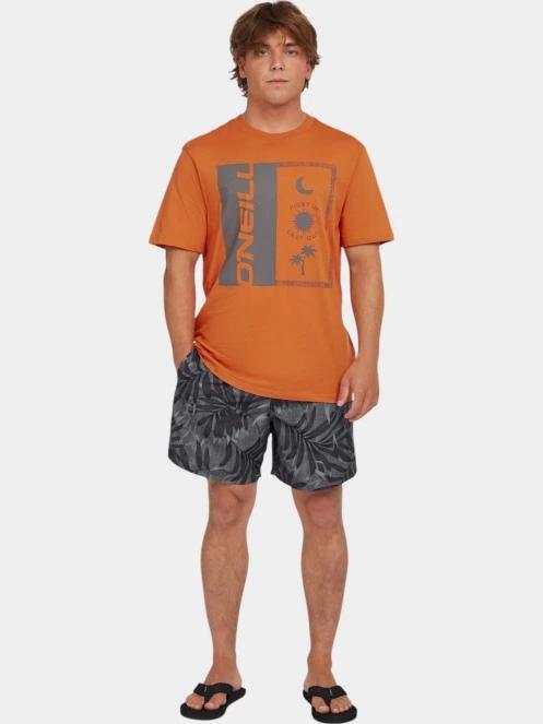 sort de plaja pt. barbati O'Neill O'Neill Cali Floral 16'' Swimshorts gri 5