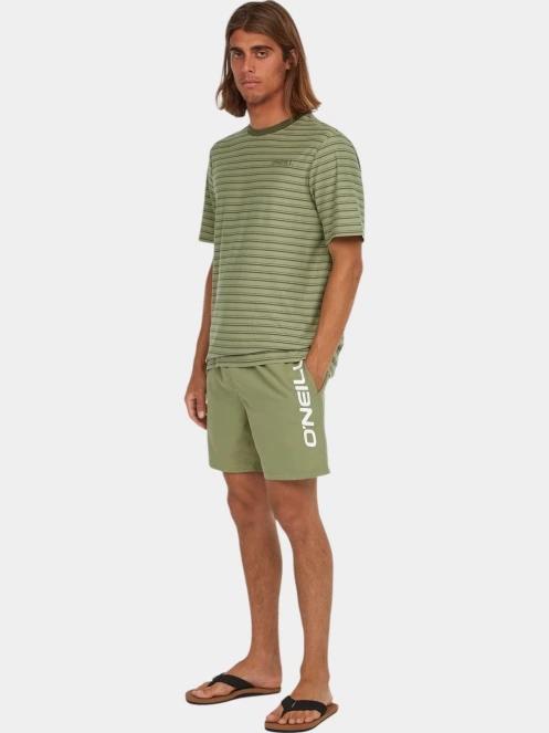 sort de plaja pt. barbati O'Neill Cali 16'' Swimshorts verde 5