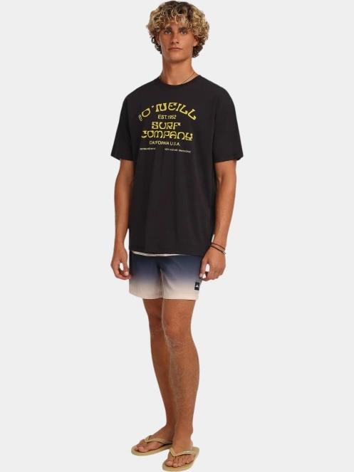 sorturi de baie pentru barbati pt. barbati O'Neill O'Neill Gradient 15'' Swimshorts negru 5