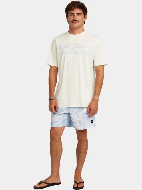 sorturi de baie pentru barbati pt. barbati O'Neill O'Neill Print 16'' Swimshorts albastru deschis 5
