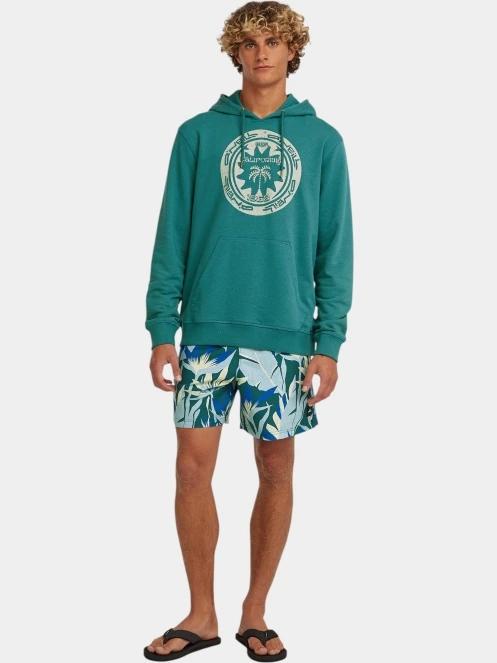 sorturi de baie pentru barbati pt. barbati O'Neill O'Neill Print 16'' Swimshorts albastru 5