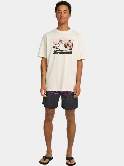 sorturi de baie pentru barbati pt. barbati O'Neill O'Neill Logo Stripe 16'' Swimshorts albastru 5
