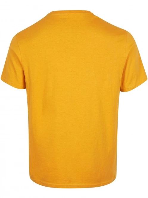 tricou cu maneci scurte pt. barbati O'Neill Warnell T-Shirt portocaliu 3
