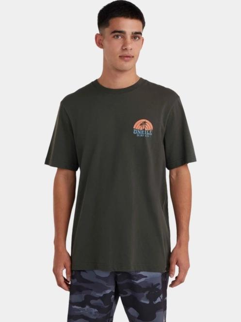 tricou cu maneci scurte pt. barbati O'Neill O'Neill Beach Graphic T-Shirt gri 2
