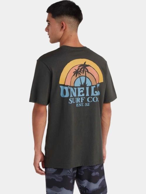 tricou cu maneci scurte pt. barbati O'Neill O'Neill Beach Graphic T-Shirt gri 3