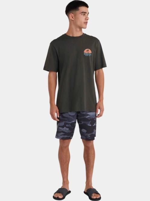tricou cu maneci scurte pt. barbati O'Neill O'Neill Beach Graphic T-Shirt gri 4