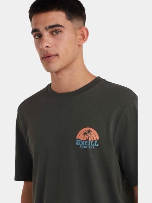tricou cu maneci scurte pt. barbati O'Neill O'Neill Beach Graphic T-Shirt gri 5