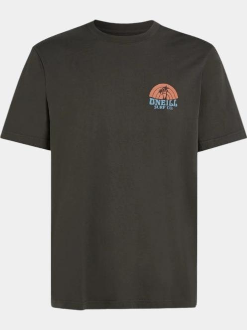 tricou cu maneci scurte pt. barbati O'Neill O'Neill Beach Graphic T-Shirt gri 6