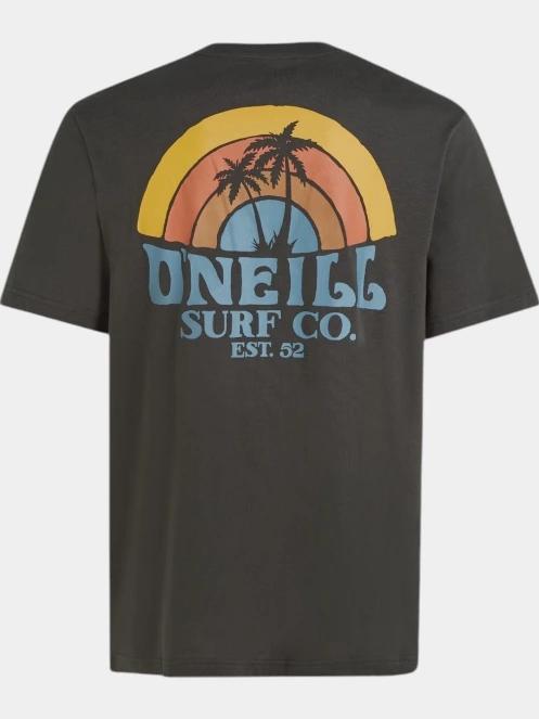 tricou cu maneci scurte pt. barbati O'Neill O'Neill Beach Graphic T-Shirt gri 7