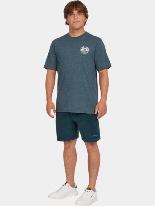 tricou cu maneci scurte pt. barbati O'Neill O'Neill Back Print T-Shirt albastru 4