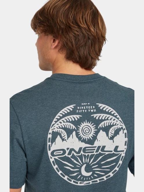 tricou cu maneci scurte pt. barbati O'Neill O'Neill Back Print T-Shirt albastru 5