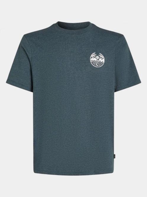 tricou cu maneci scurte pt. barbati O'Neill O'Neill Back Print T-Shirt albastru 6