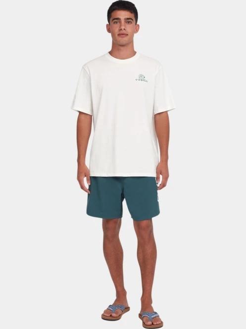 tricou cu maneci scurte pt. barbati O'Neill Global T-Shirt alb 4