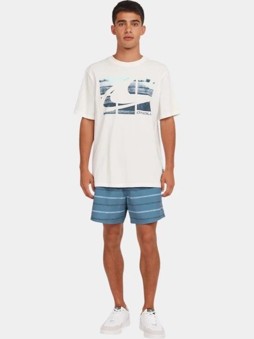 tricou cu maneci scurte pt. barbati O'Neill O'Neill Gradient T-Shirt alb 4