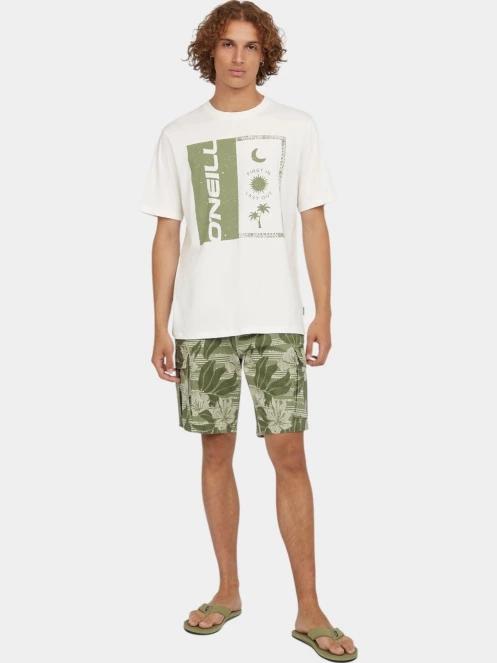 tricou cu maneci scurte pt. barbati O'Neill O'Neill Front Print T-Shirt alb 4