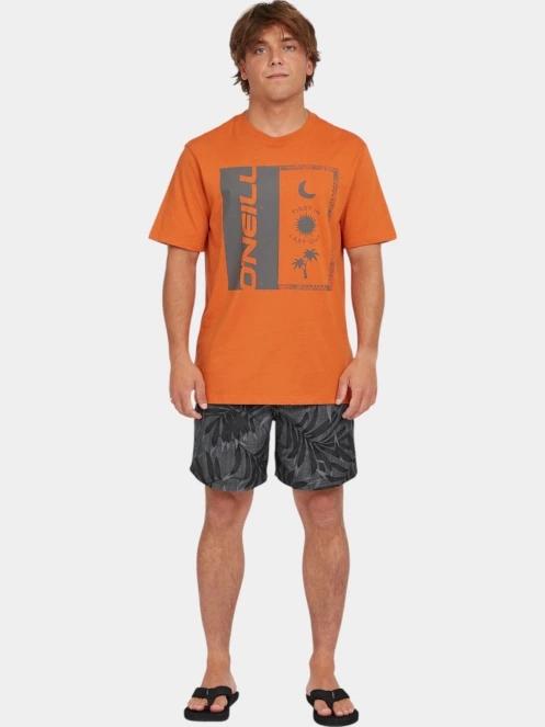 tricou cu maneci scurte pt. barbati O'Neill O'Neill Front Print T-Shirt portocaliu 4
