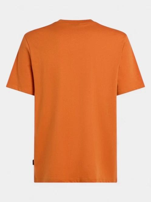 tricou cu maneci scurte pt. barbati O'Neill O'Neill Front Print T-Shirt portocaliu 7