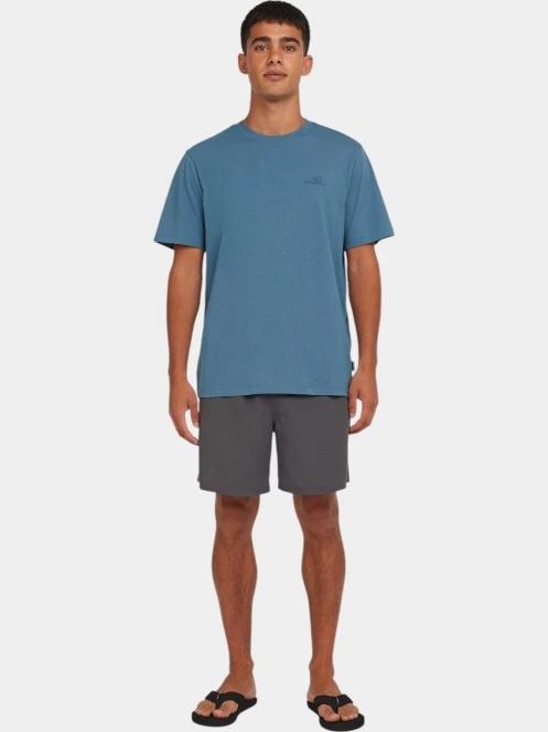 tricou cu maneci scurte pt. barbati O'Neill O'Neill Small Logo T-Shirt albastru 4