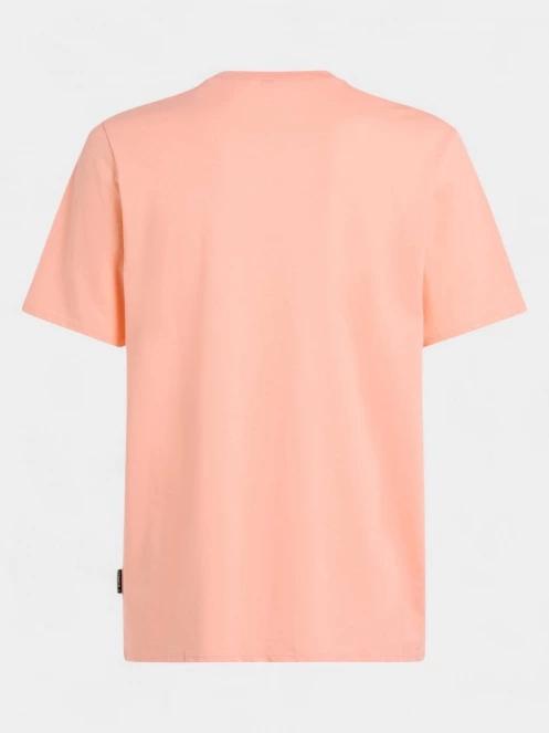 tricou cu maneci scurte pt. barbati O'Neill O'Neill Logo T-Shirt portocaliu 7