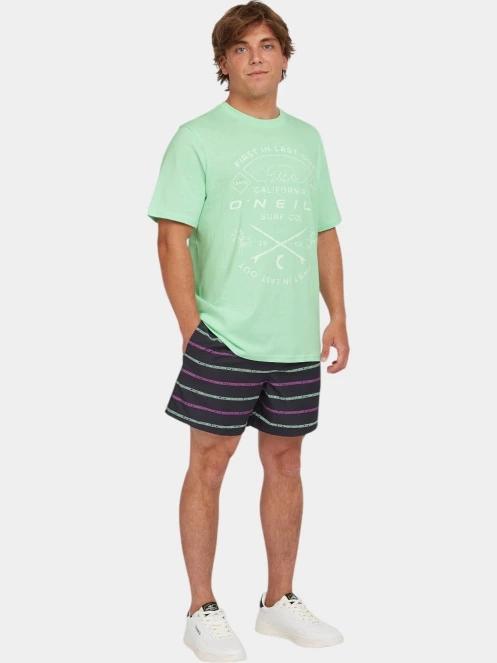 tricou cu maneci scurte pt. barbati O'Neill Jack O'Neill Muir T-Shirt verde 4
