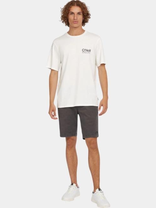 tricou cu maneci scurte pt. barbati O'Neill Original Cali Logo T-Shirt alb 4