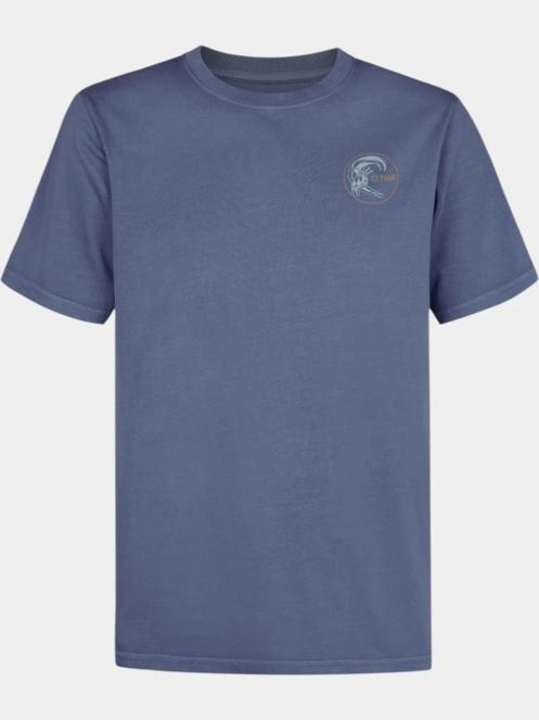 tricou cu maneci scurte pt. barbati O'Neill O'riginals Retro Back Print T-Shirt albastru 6