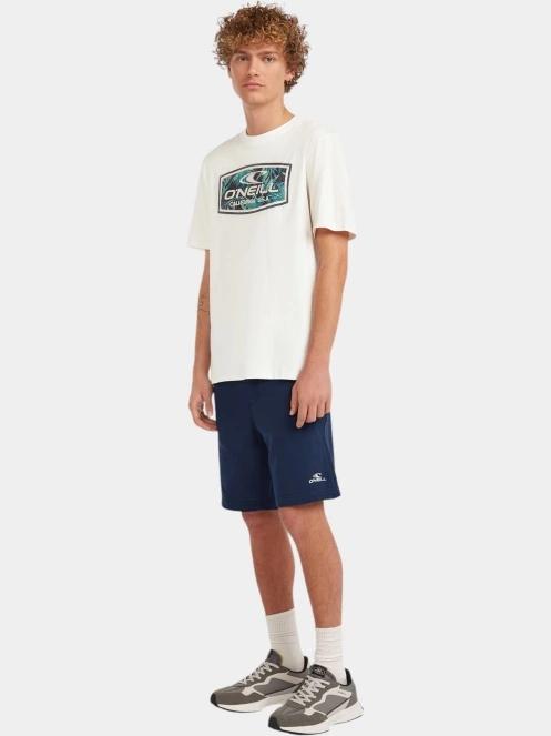 tricou cu maneci scurte pt. barbati O'Neill O'Neill Graphic T-Shirt alb 4