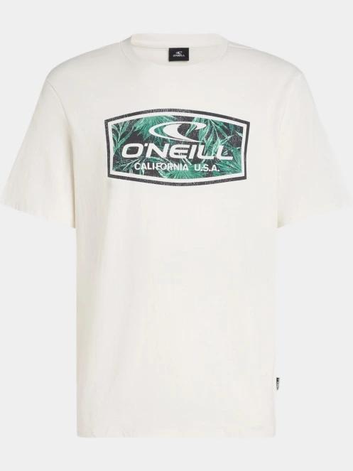 tricou cu maneci scurte pt. barbati O'Neill O'Neill Graphic T-Shirt alb 6