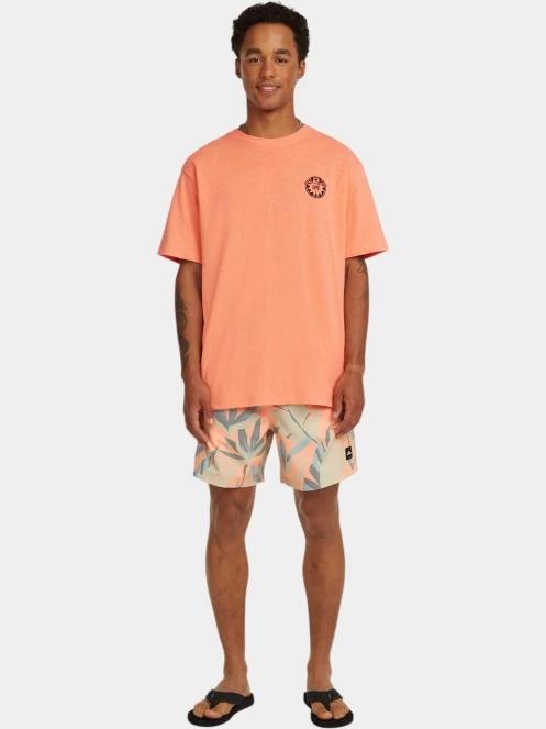 tricou cu maneci scurte pt. barbati O'Neill O'Neill Slub Back Print T-Shirt portocaliu 4