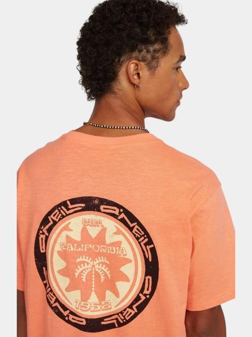 tricou cu maneci scurte pt. barbati O'Neill O'Neill Slub Back Print T-Shirt portocaliu 5