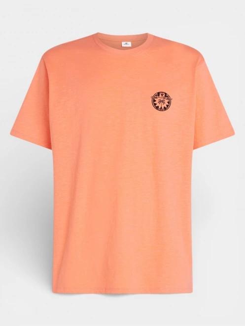 tricou cu maneci scurte pt. barbati O'Neill O'Neill Slub Back Print T-Shirt portocaliu 6