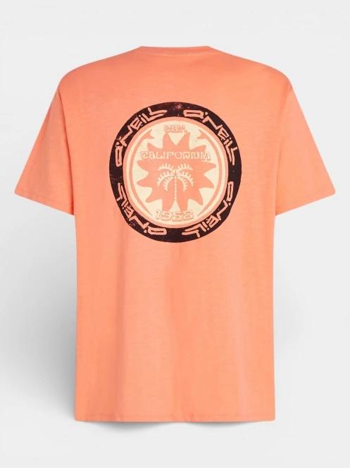 tricou cu maneci scurte pt. barbati O'Neill O'Neill Slub Back Print T-Shirt portocaliu 7