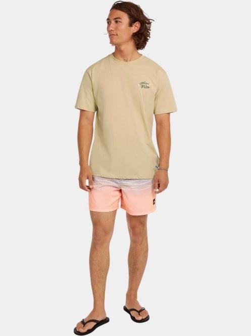 tricou cu maneci scurte pt. barbati O'Neill O'Neill Retro Back Print T-Shirt nisip 4